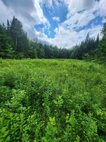 1602 East Haven Road Brighton VT 05846