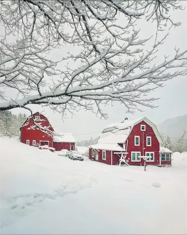 1602 East Haven Road Brighton VT 05846