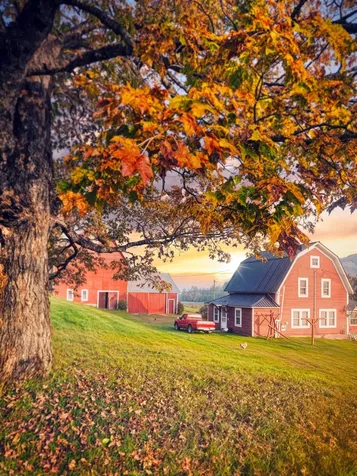 1602 East Haven Road Brighton VT 05846