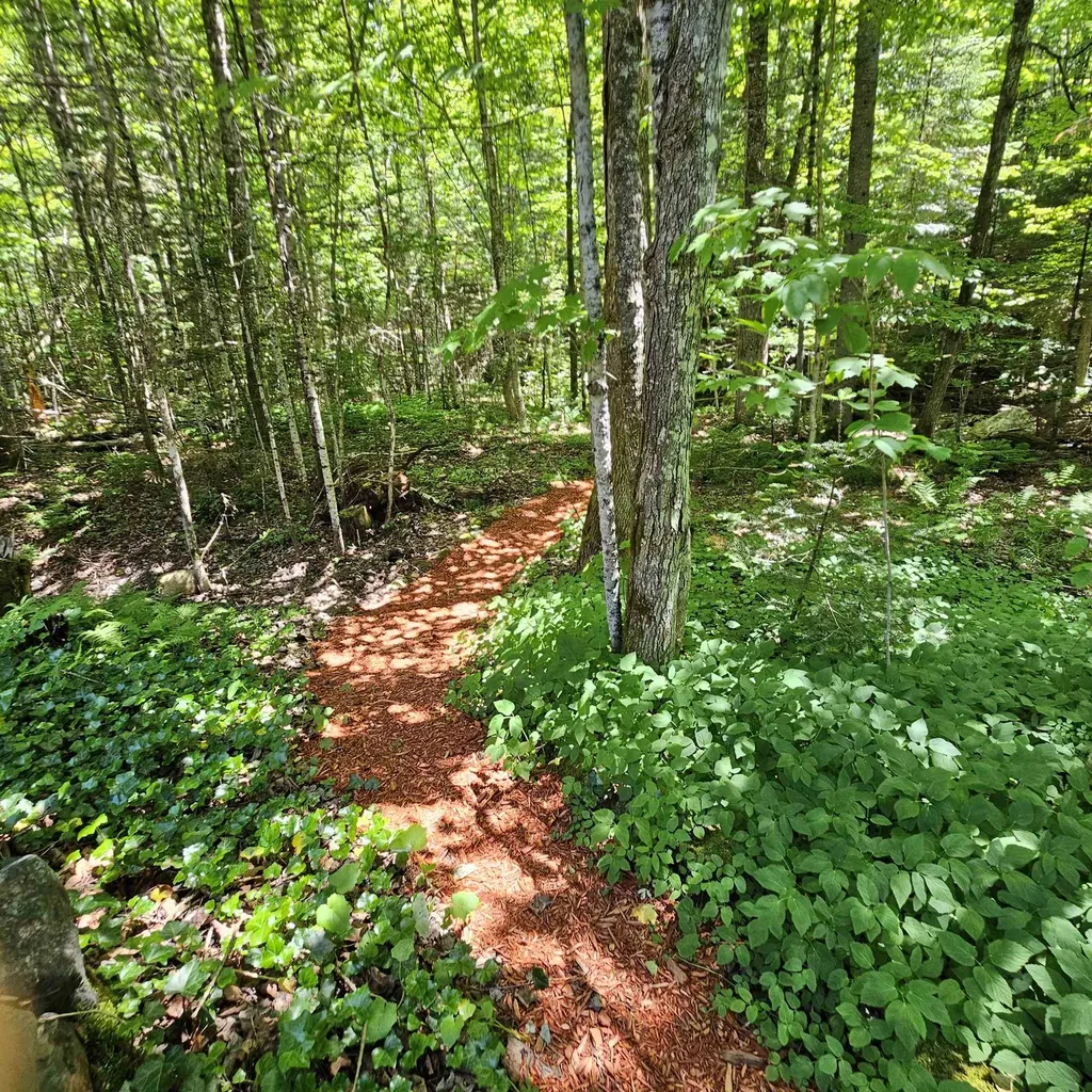 1500 Brook Road Burke VT 05871