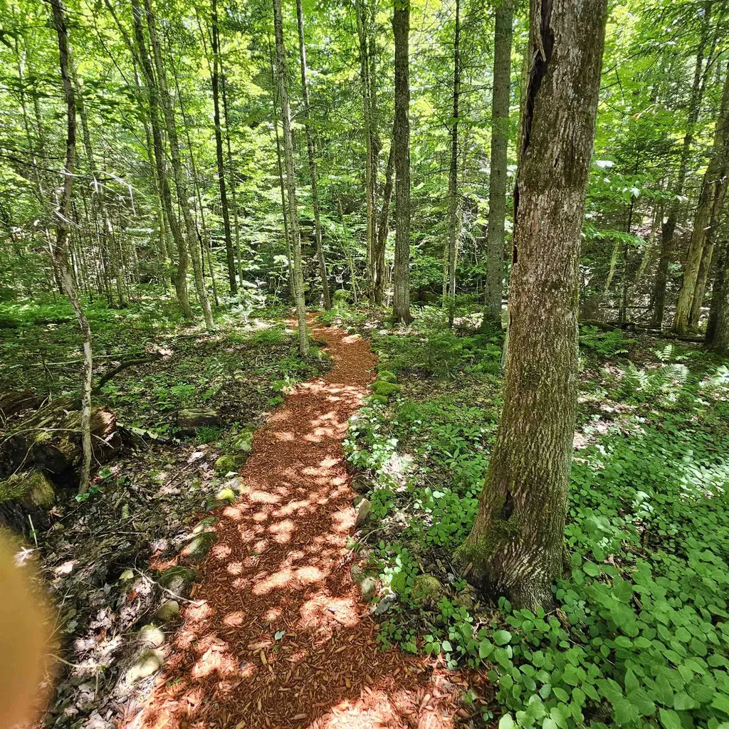 1500 Brook Road Burke VT 05871