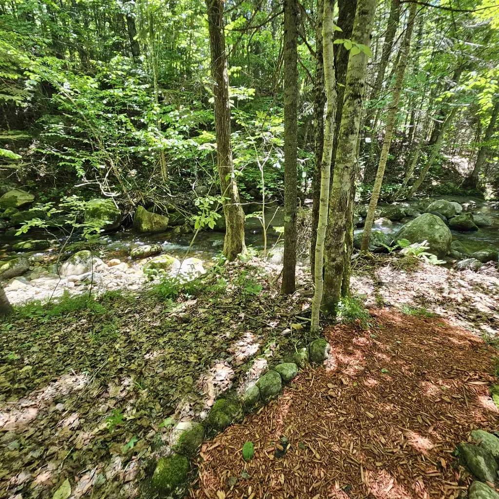 1500 Brook Road Burke VT 05871