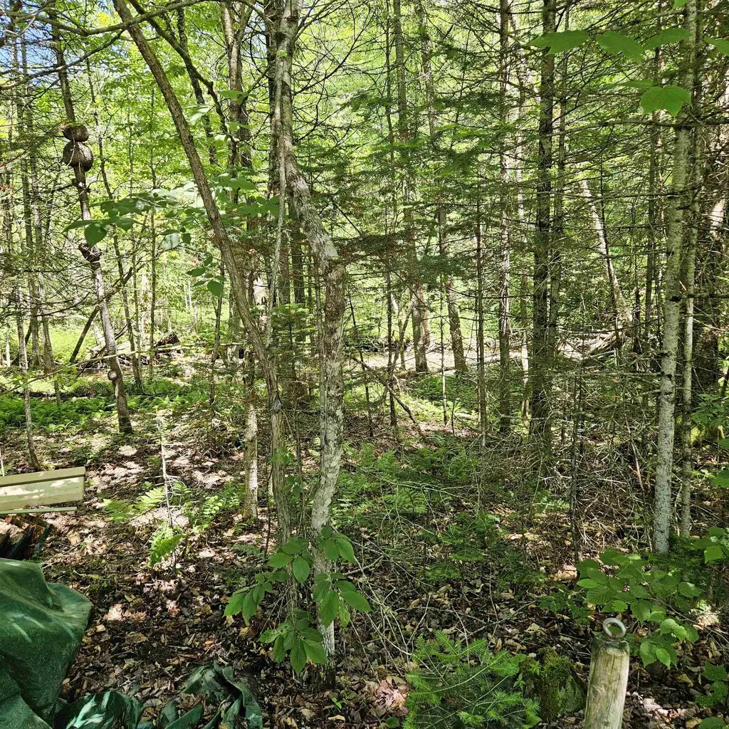 1500 Brook Road Burke VT 05871