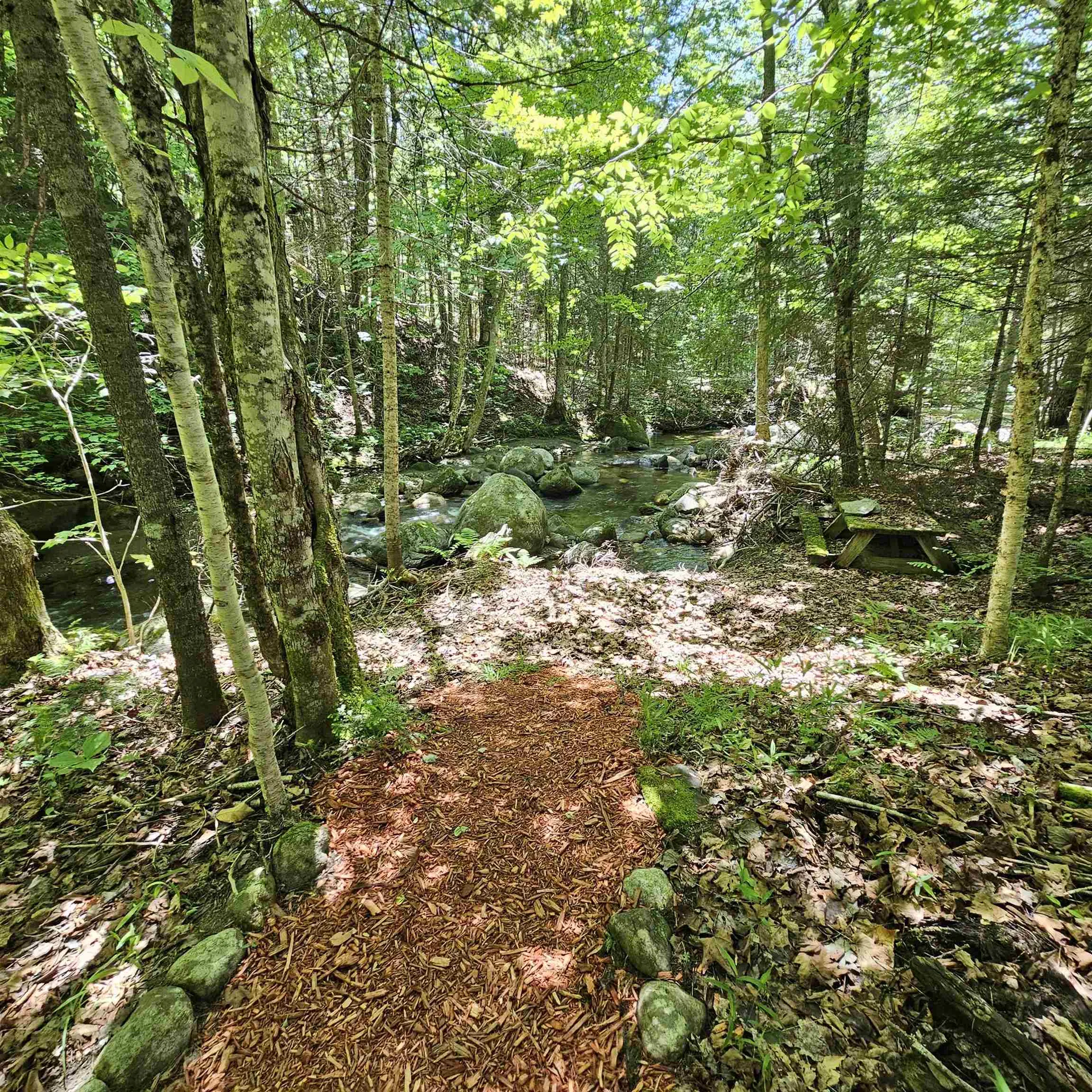 1500 Brook Road Burke VT 05871