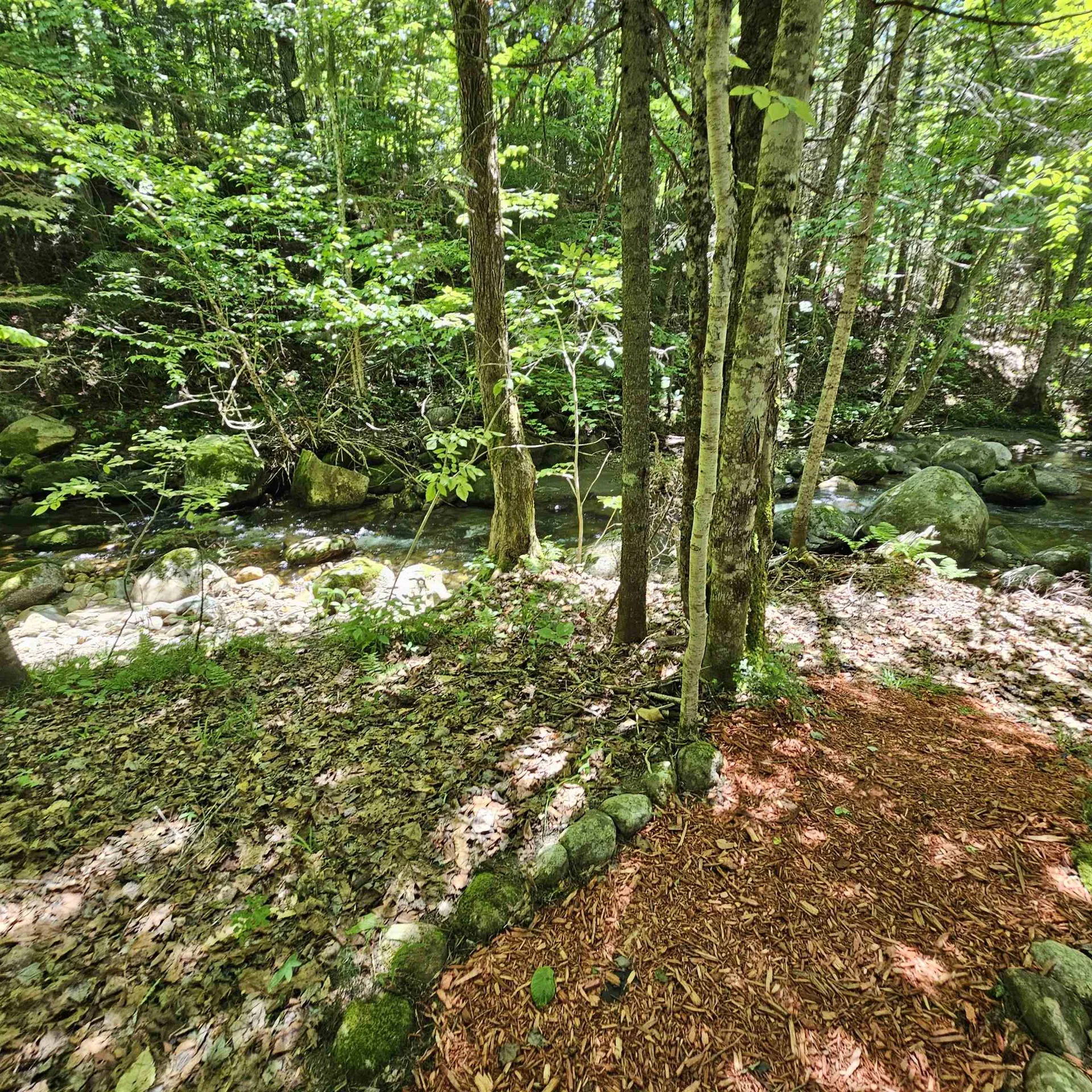 1500 Brook Road Burke VT 05871