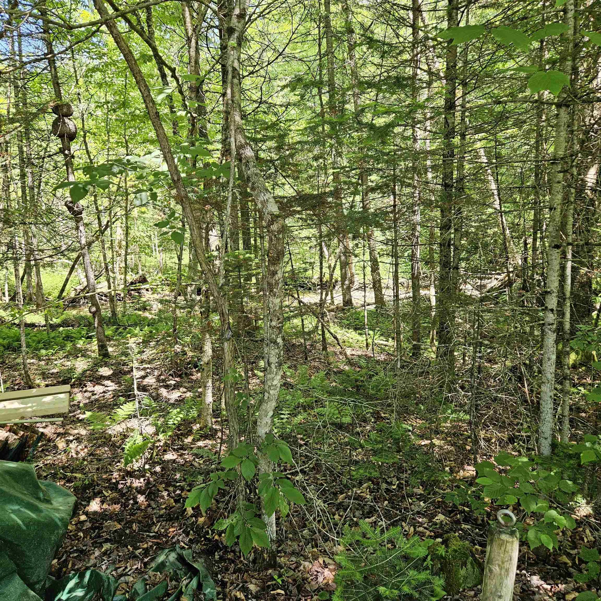 1500 Brook Road Burke VT 05871