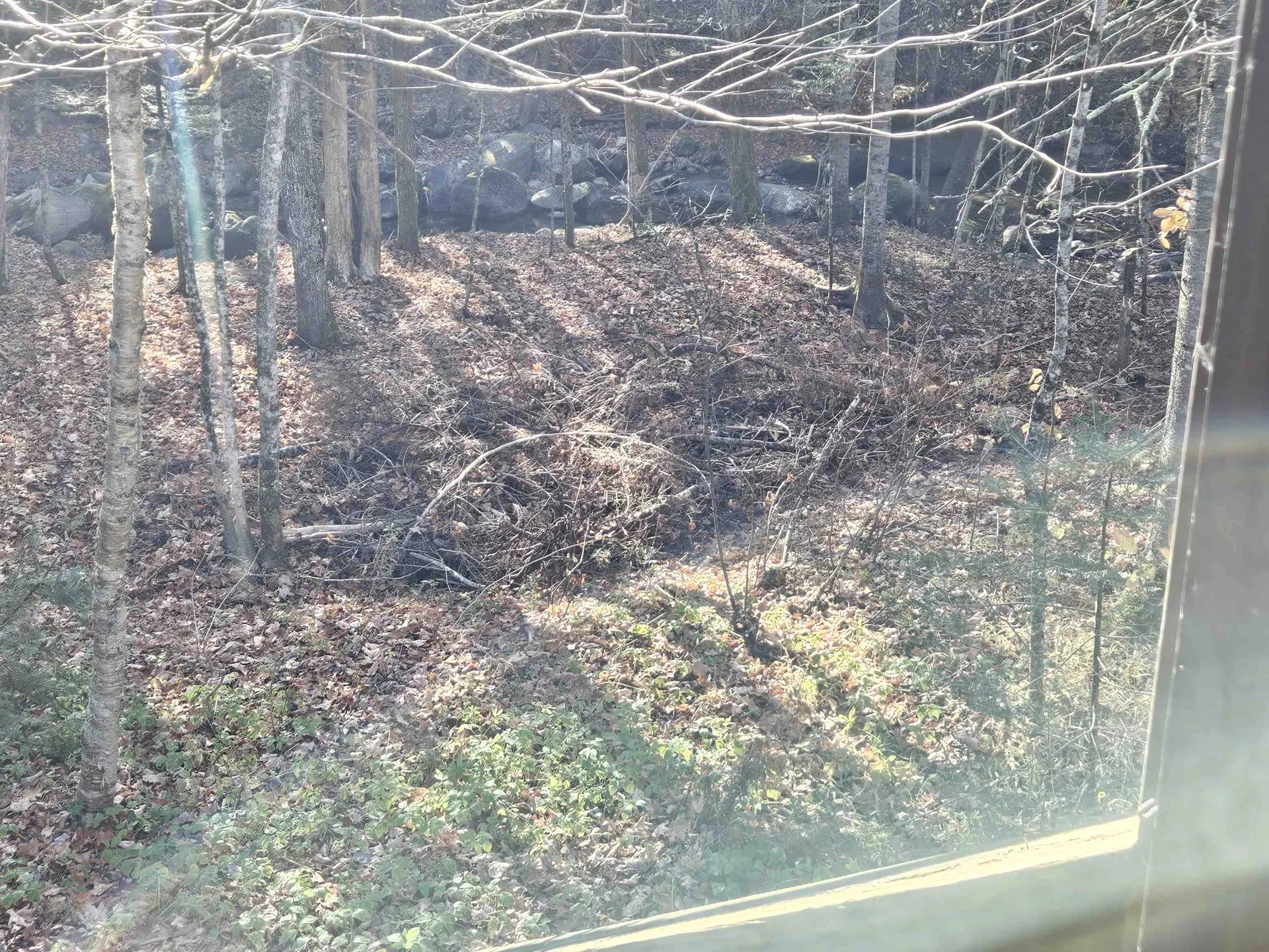 1500 Brook Road Burke VT 05871