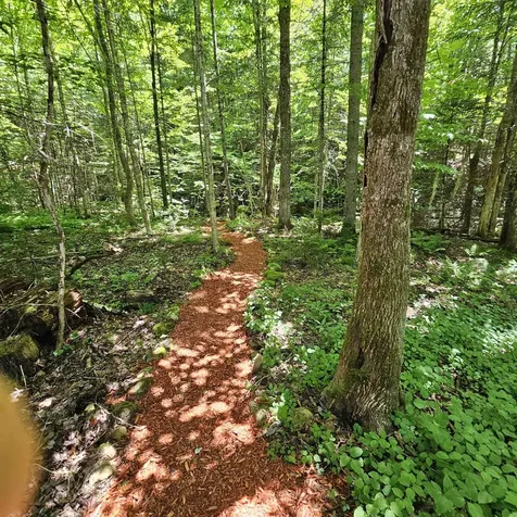 1500 Brook Road Burke VT 05871