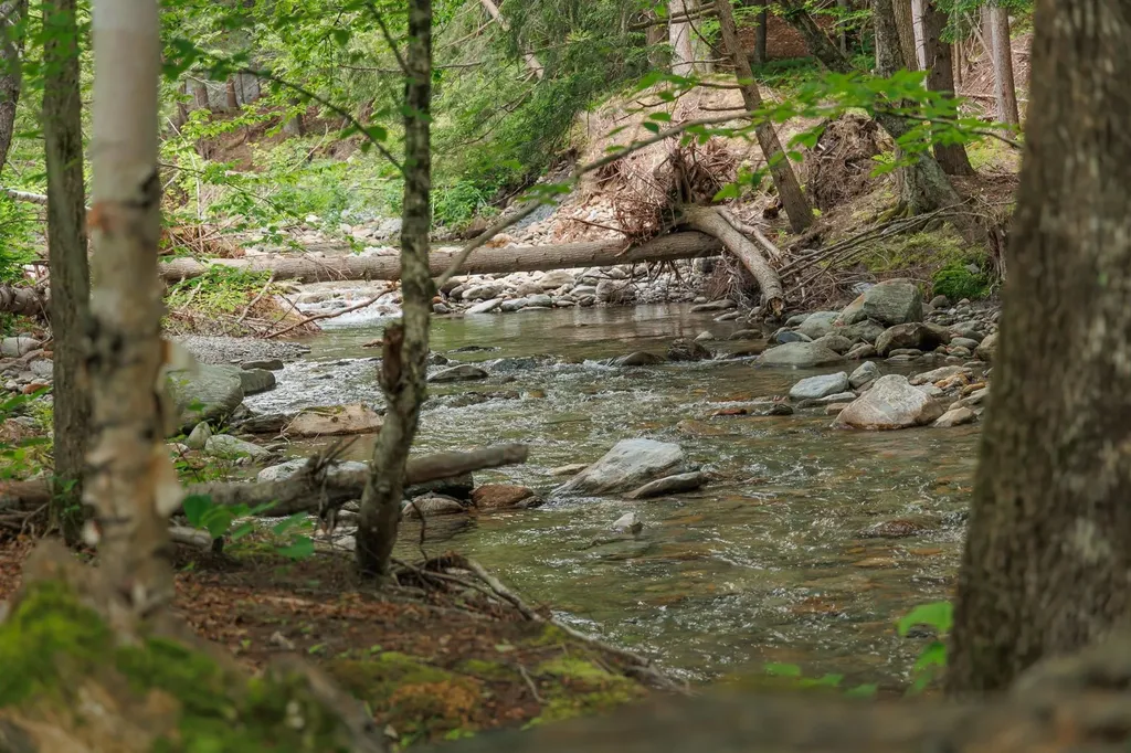 2042 Nebraska Valley Stowe VT 05672