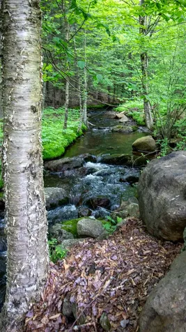 1170 Valley Road Washington NH 03280-3110