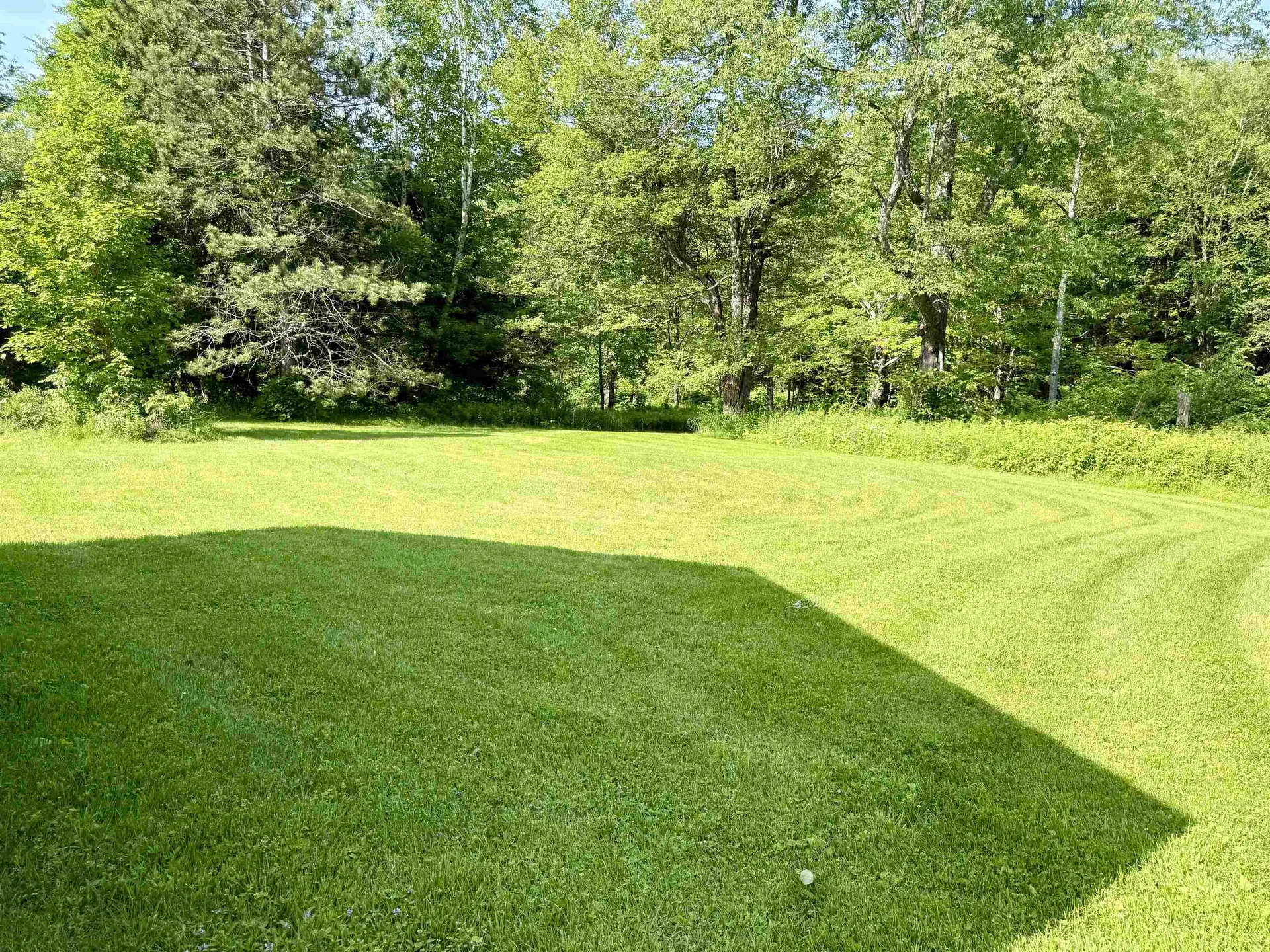 61 Davis Road Cavendish VT 05153