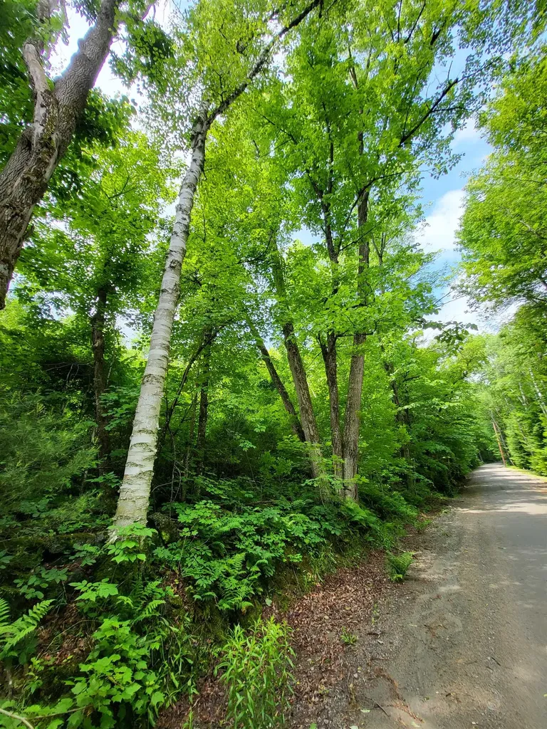 000 Blake Road Sugar Hill NH 03586