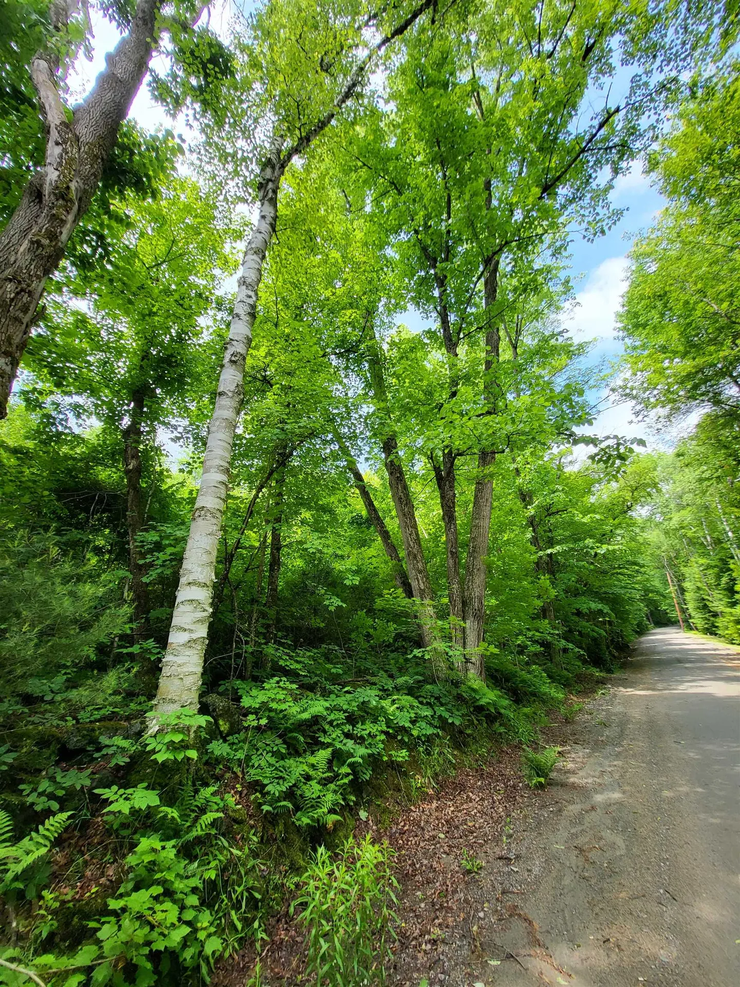 000 Blake Road Sugar Hill NH 03586