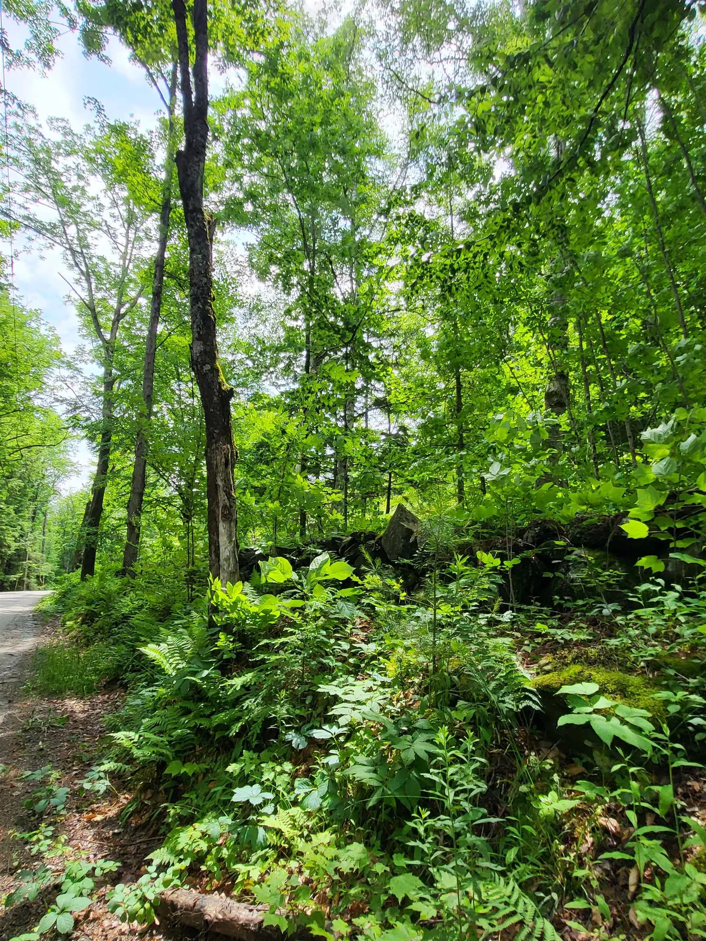 000 Blake Road Sugar Hill NH 03586