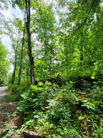 000 Blake Road Sugar Hill NH 03586