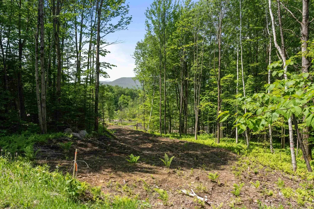 251 White Birch Road Morristown VT 05661