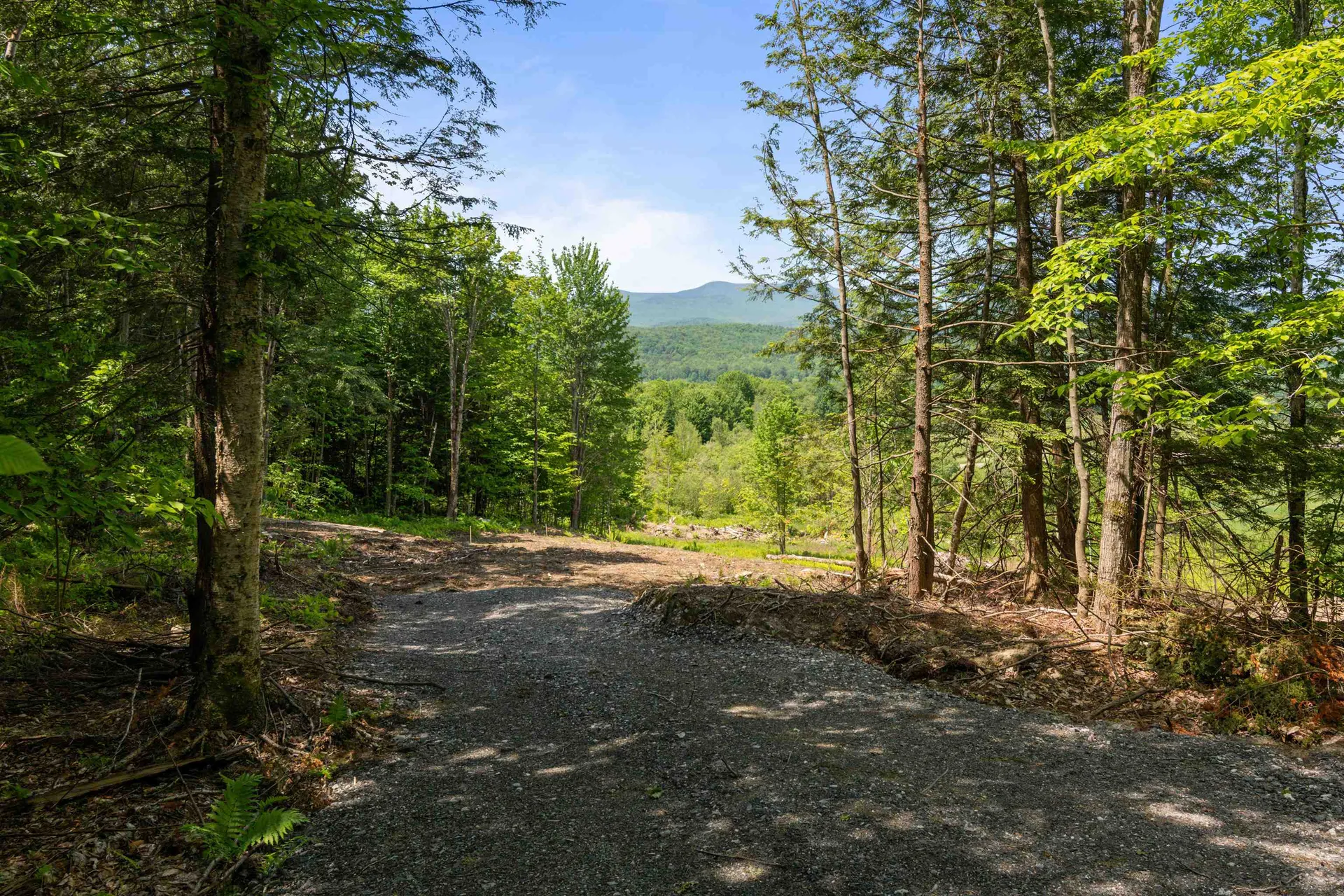 251 White Birch Road Morristown VT 05661