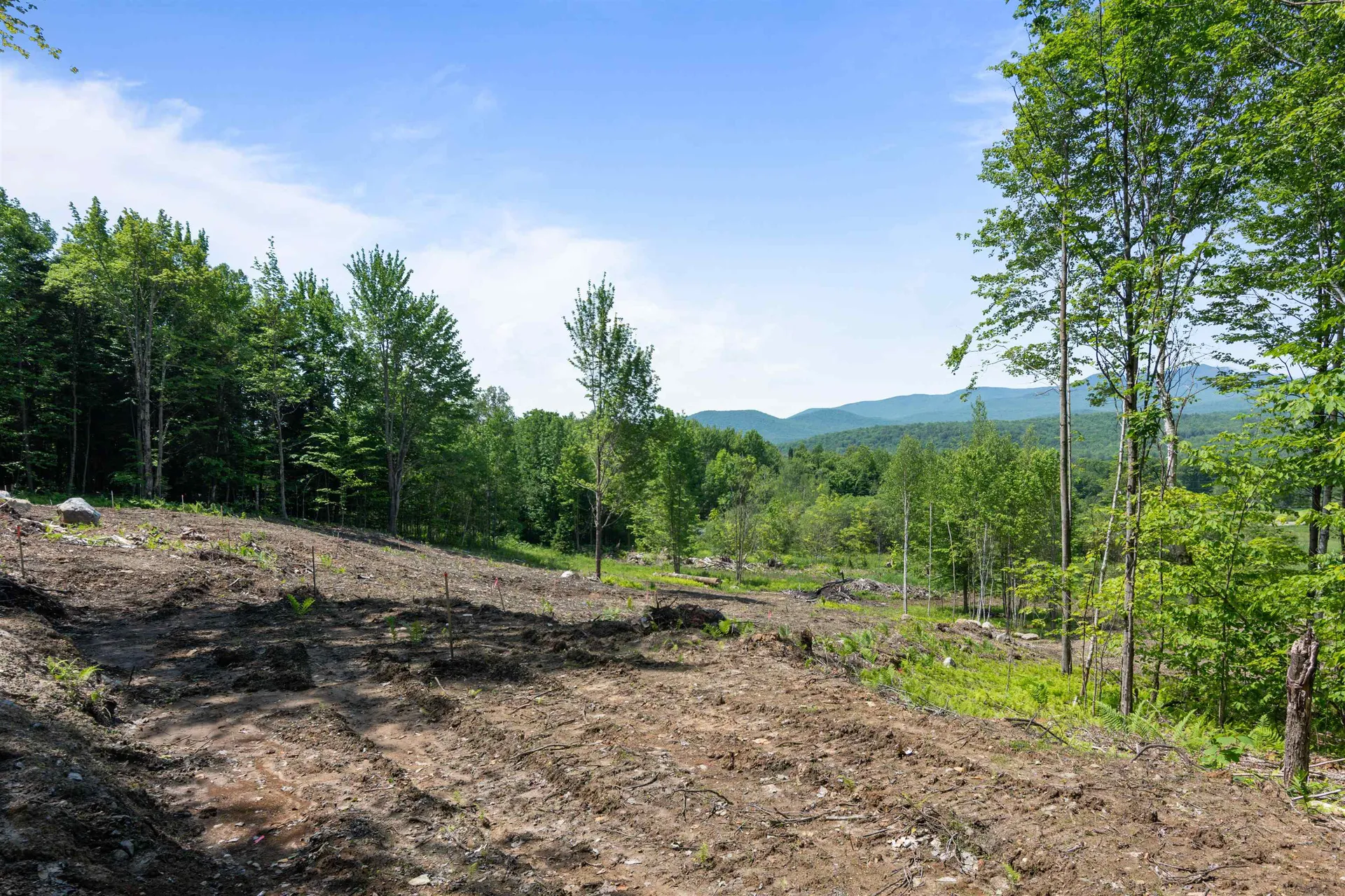 251 White Birch Road Morristown VT 05661