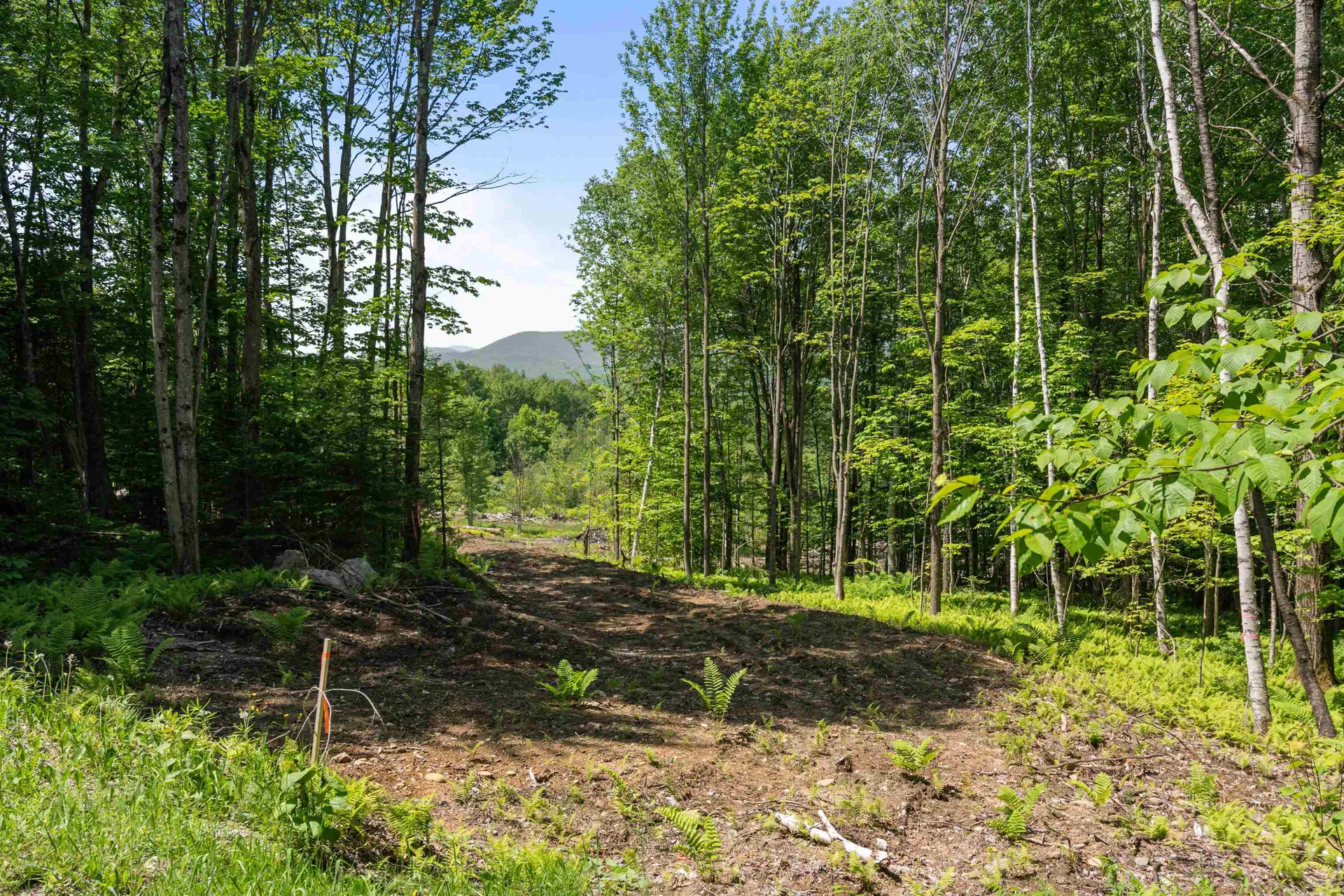 251 White Birch Road Morristown VT 05661