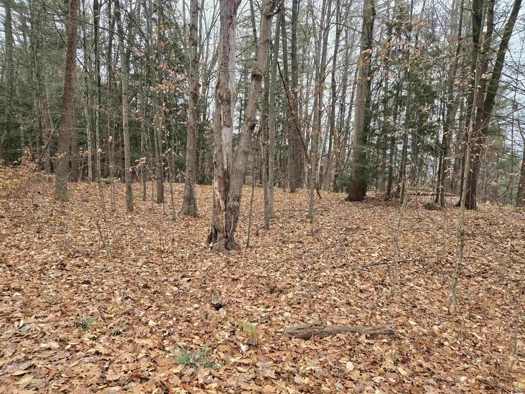 Lot 09-195-003 Winsor Drive Hartford VT 05001