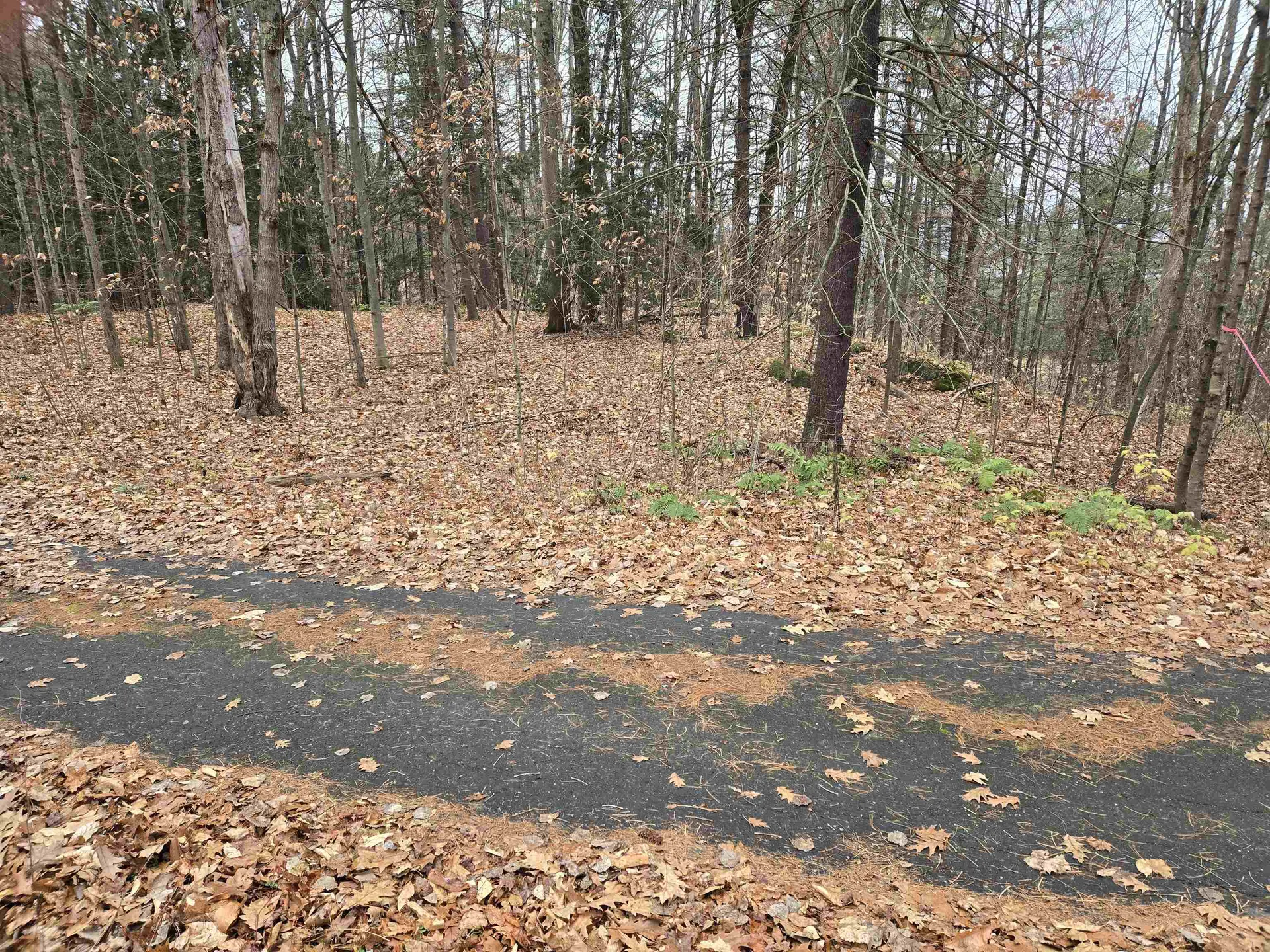 Lot 09-195-003 Winsor Drive Hartford VT 05001