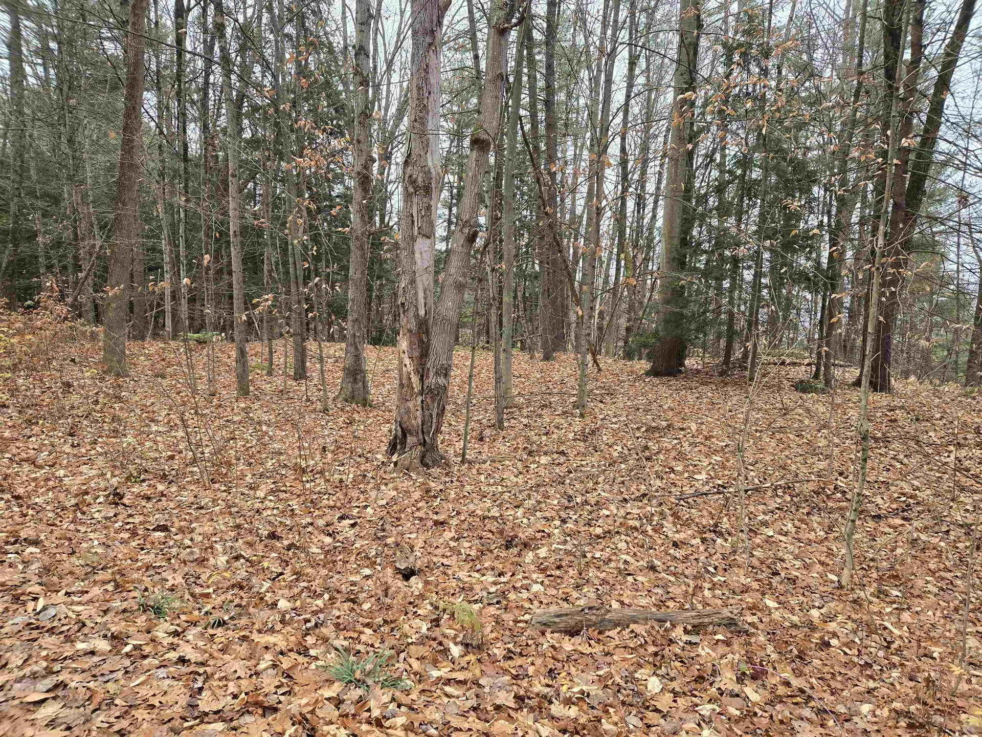 Lot 09-195-003 Winsor Drive Hartford VT 05001