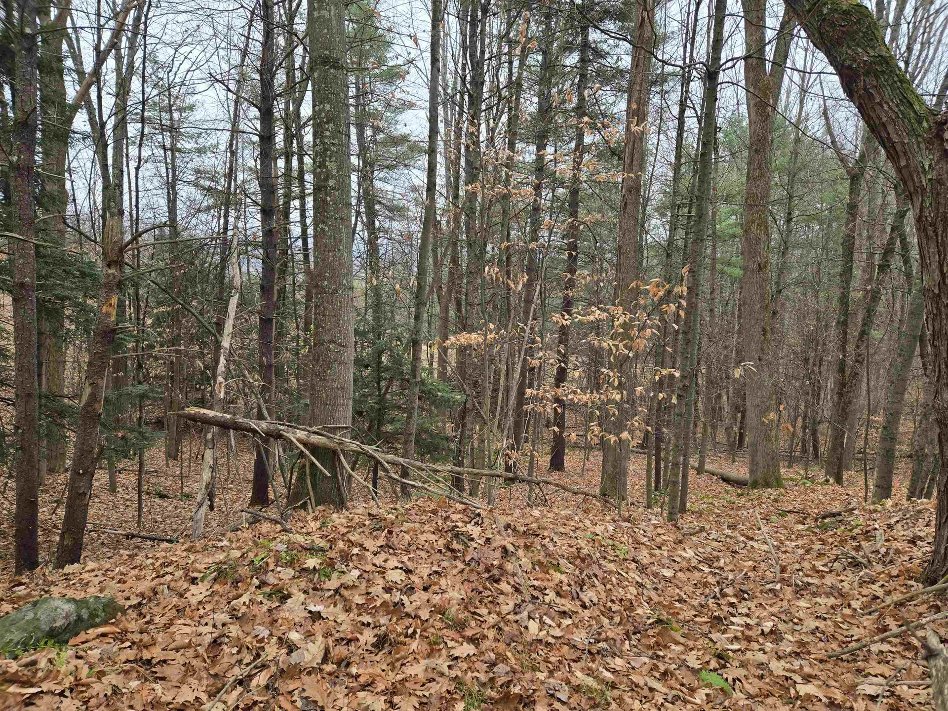 Lot 09-195-003 Winsor Drive Hartford VT 05001