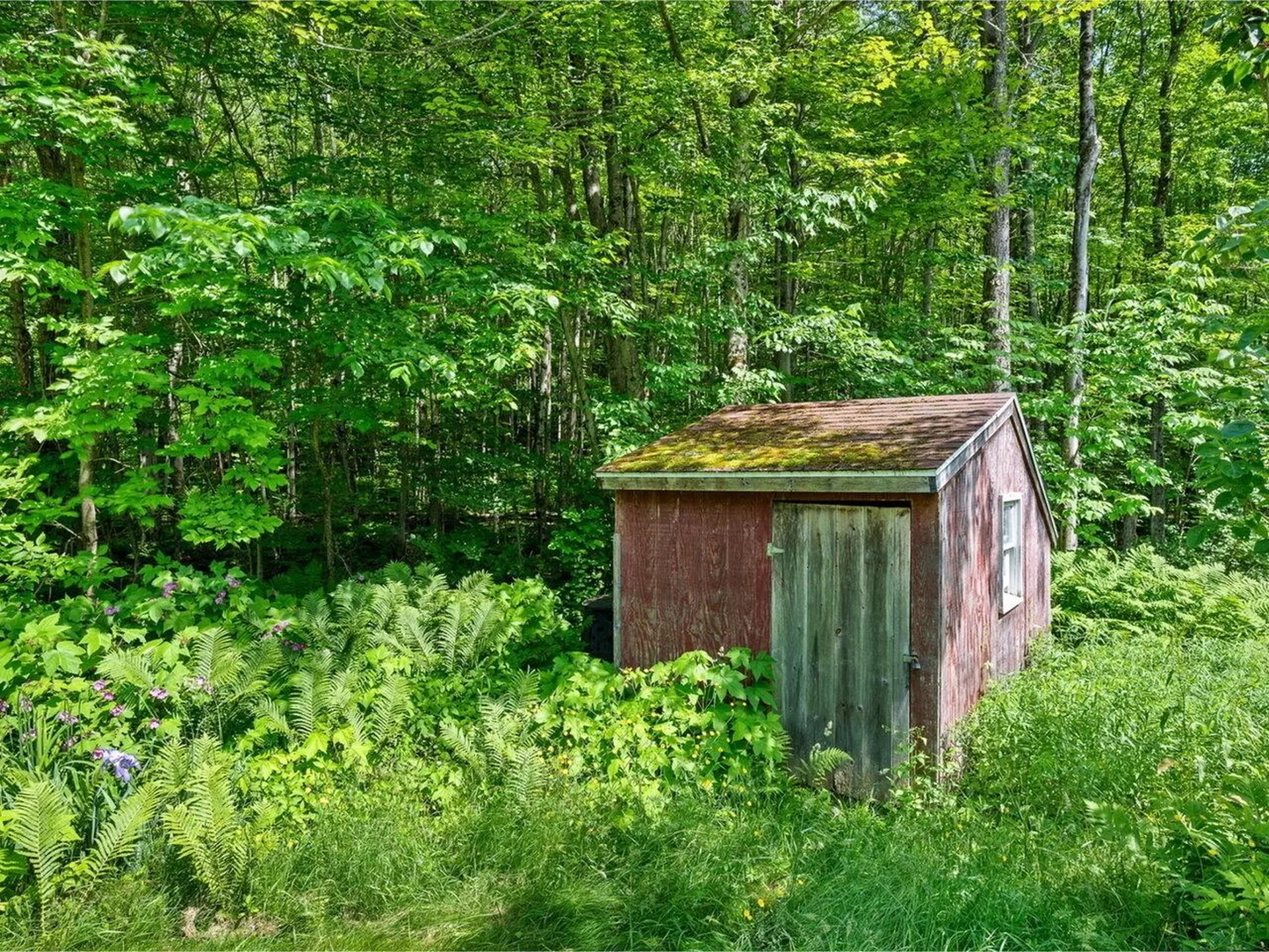 61 Cook Drive Cambridge VT 05489