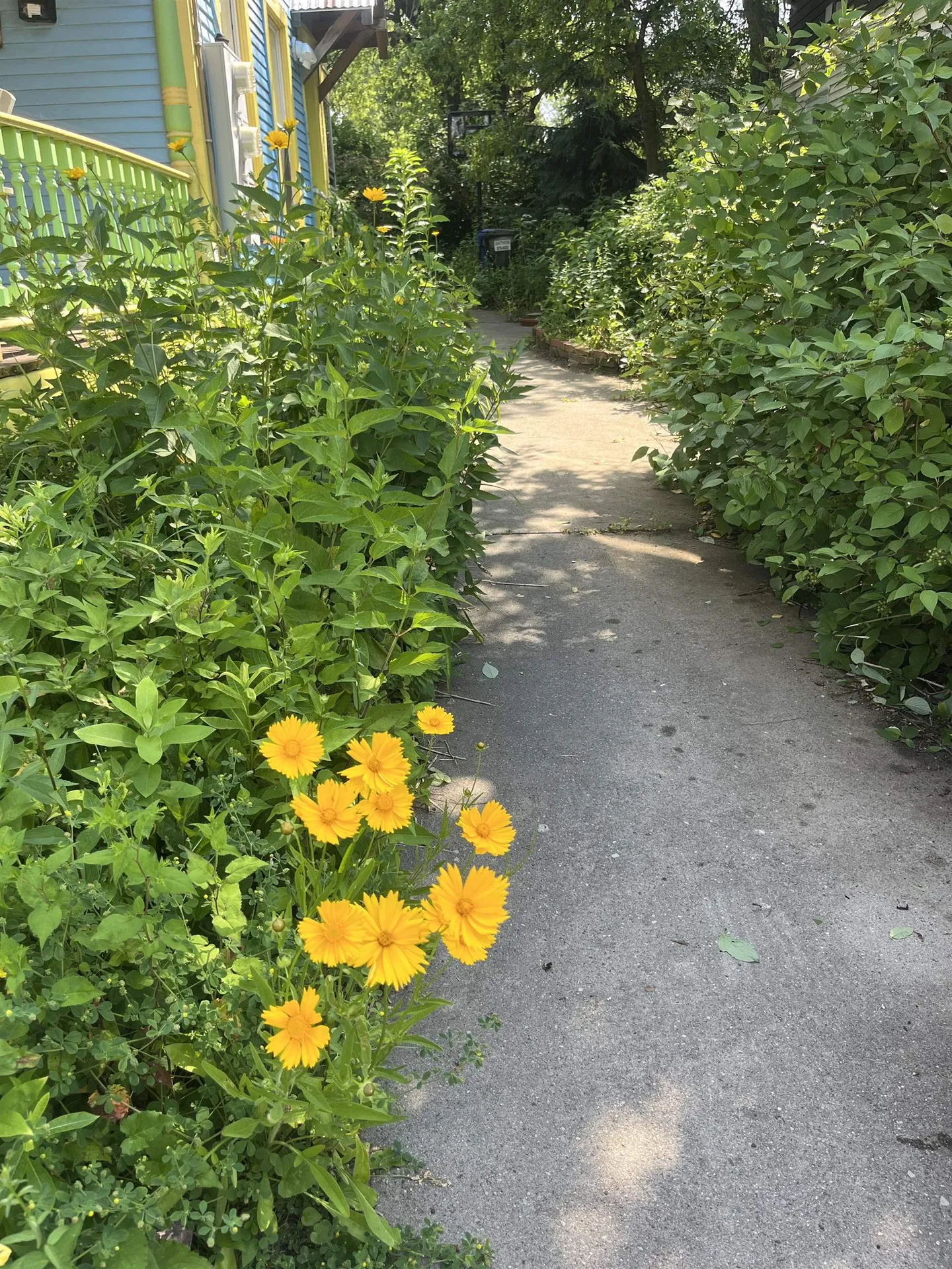 16 Germain Street Burlington VT 05401