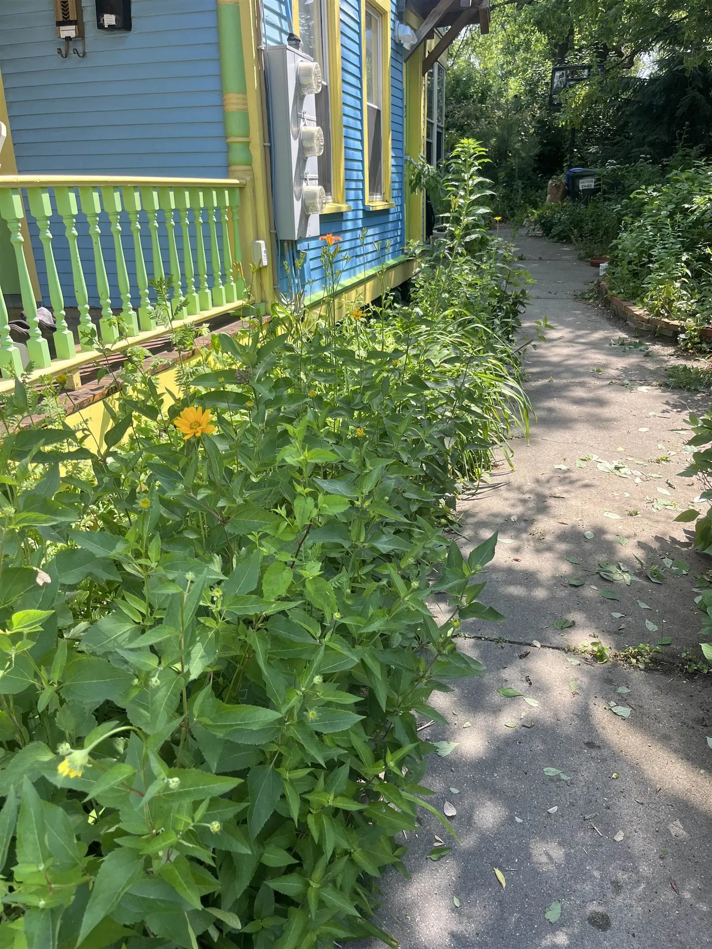 16 Germain Street Burlington VT 05401