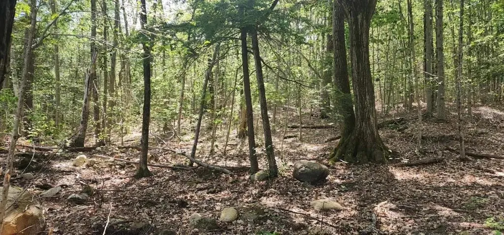 Map 223 Lot 31 Access Road Wakefield NH 03872