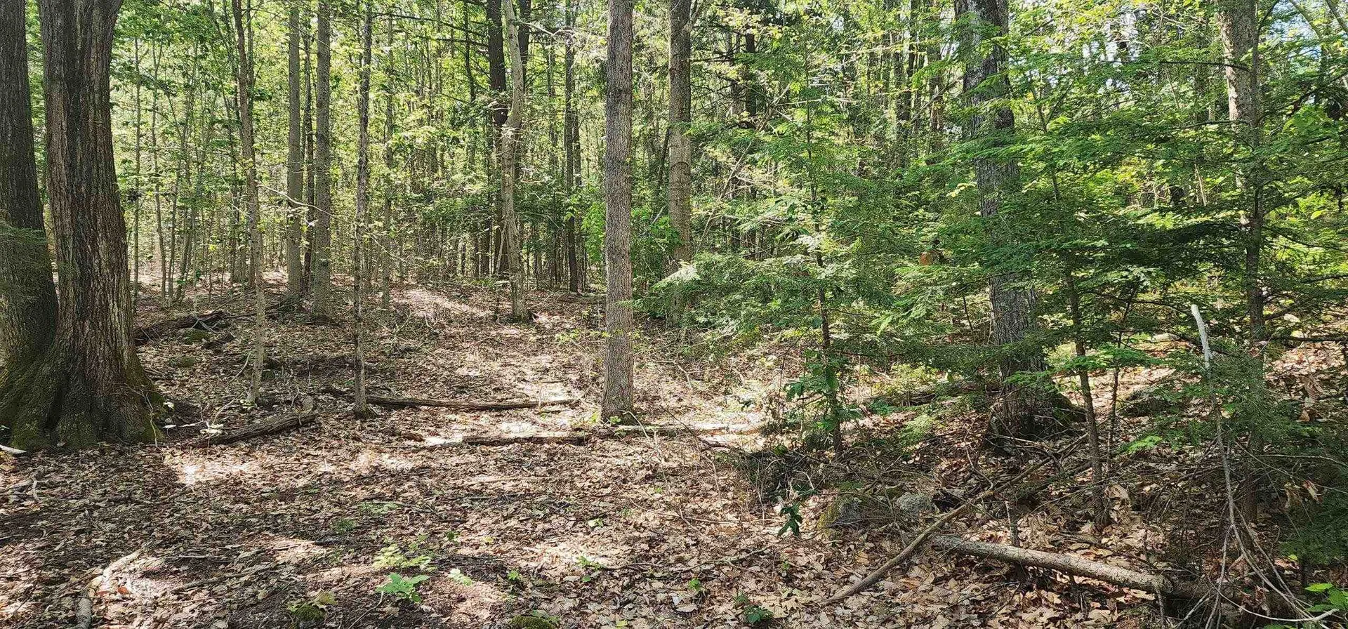 Map 223 Lot 31 Access Road Wakefield NH 03872