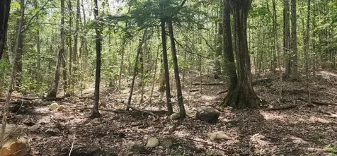 Map 223 Lot 31 Access Road Wakefield NH 03872