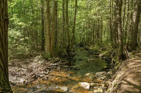 0 River Road Winhall VT 05340