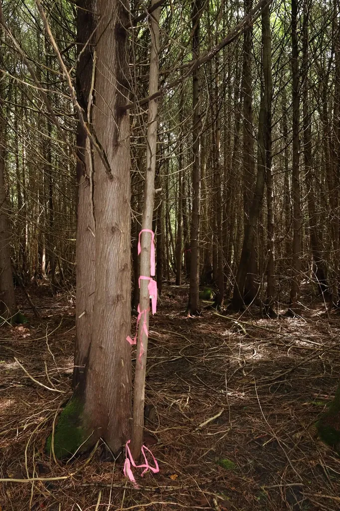 00 Richardson Road Barre Town VT 05641