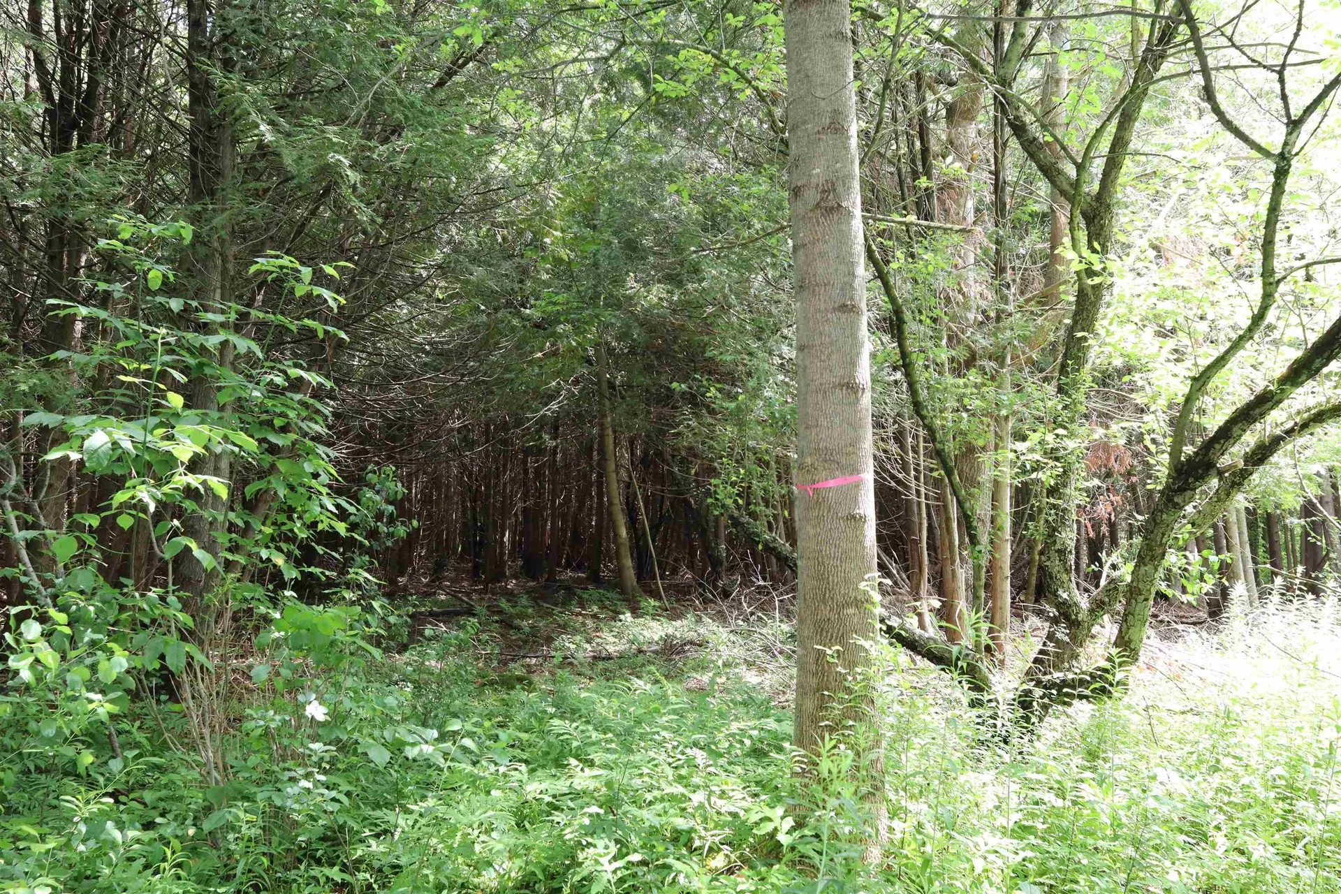 00 Richardson Road Barre Town VT 05641