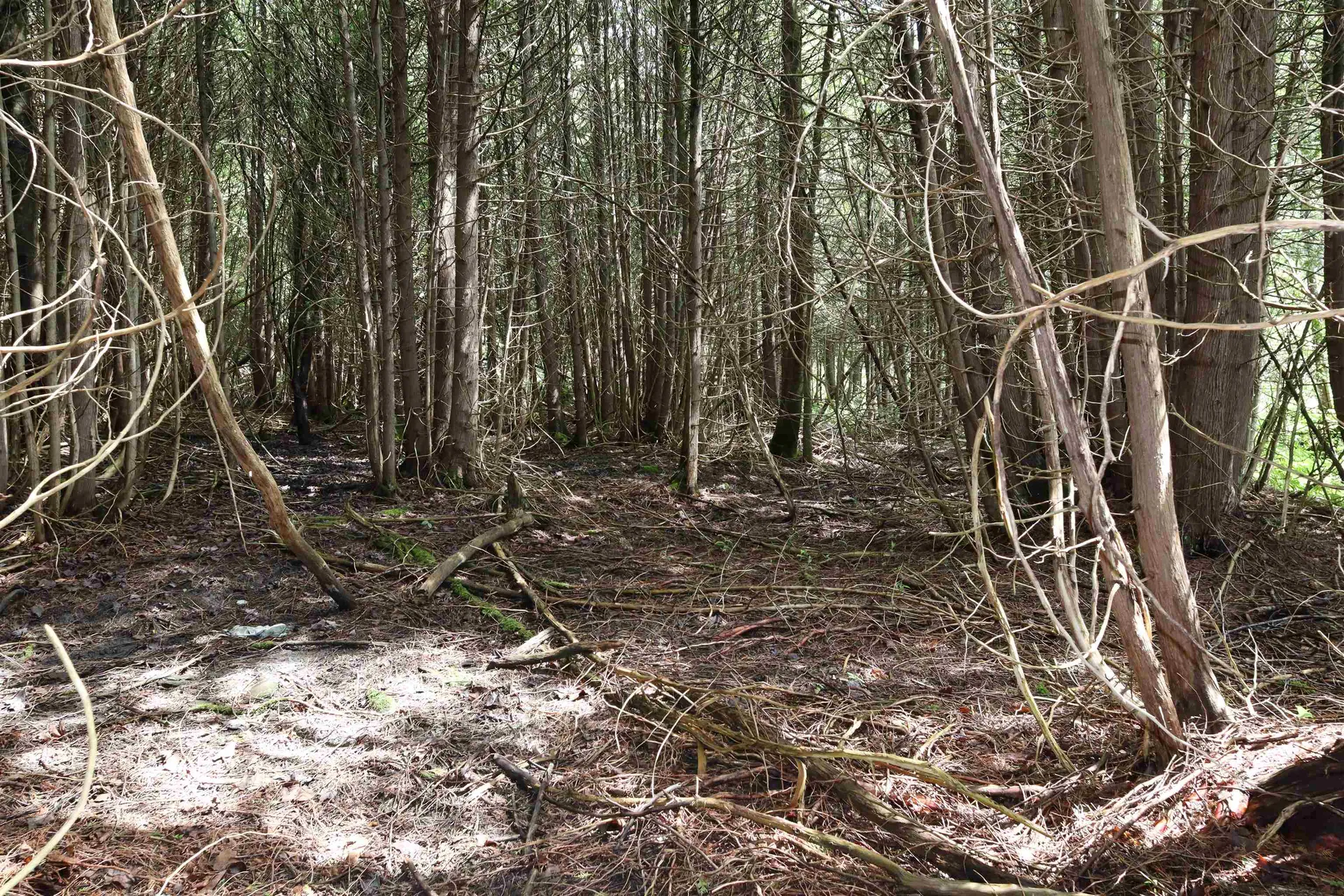 00 Richardson Road Barre Town VT 05641