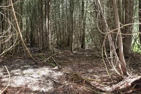 00 Richardson Road Barre Town VT 05641