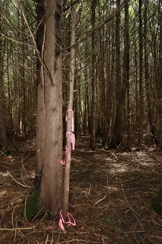 00 Richardson Road Barre Town VT 05641