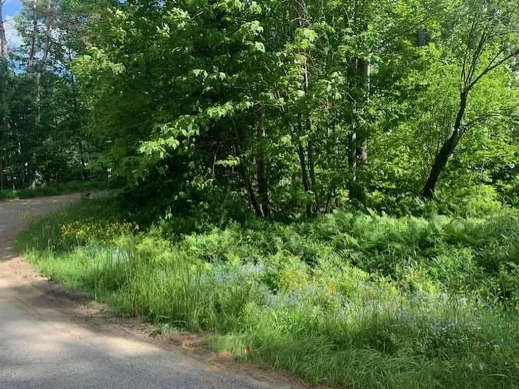 Alpenhof Drive Bethlehem NH 03574