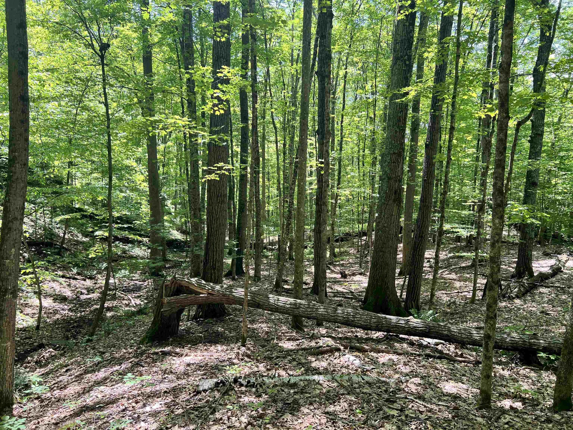 00 Greely Shunpike Road Hartford VT 05059