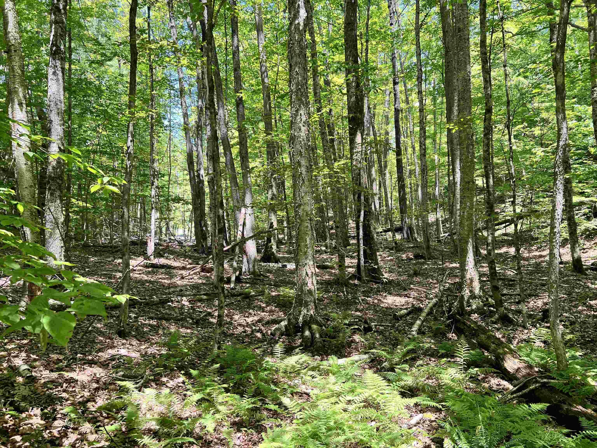 00 Greely Shunpike Road Hartford VT 05059