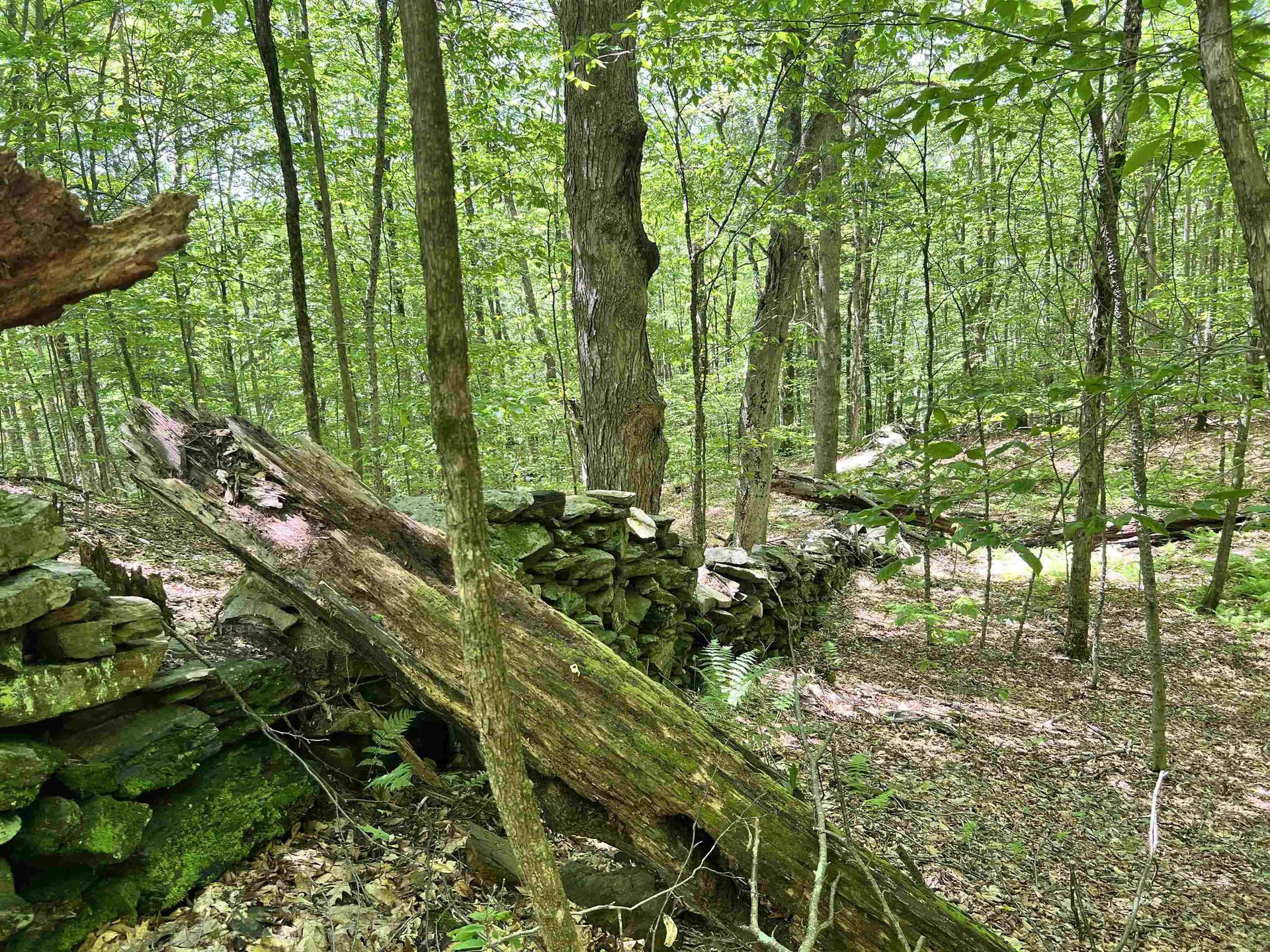 00 Greely Shunpike Road Hartford VT 05059