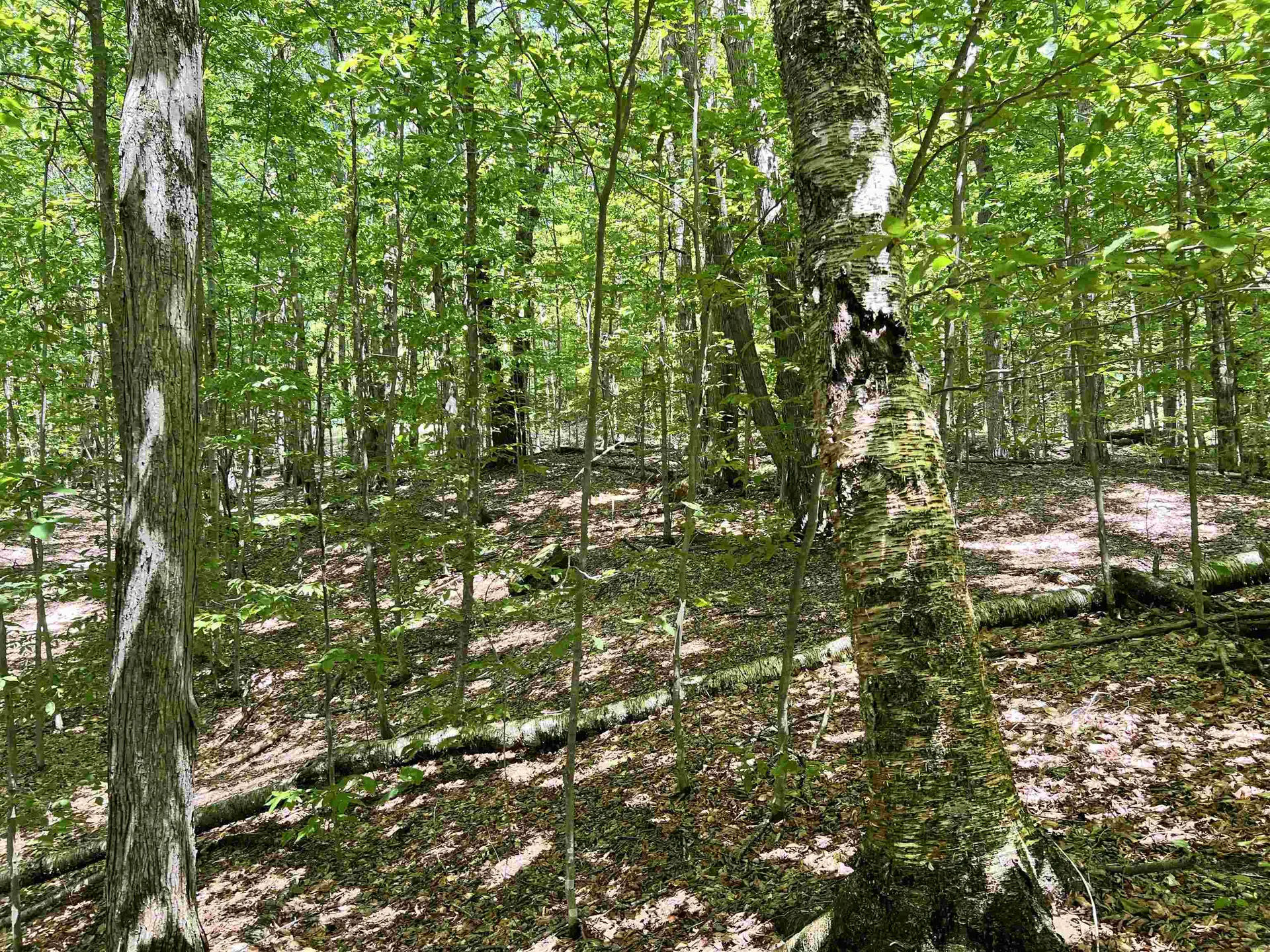 00 Greely Shunpike Road Hartford VT 05059