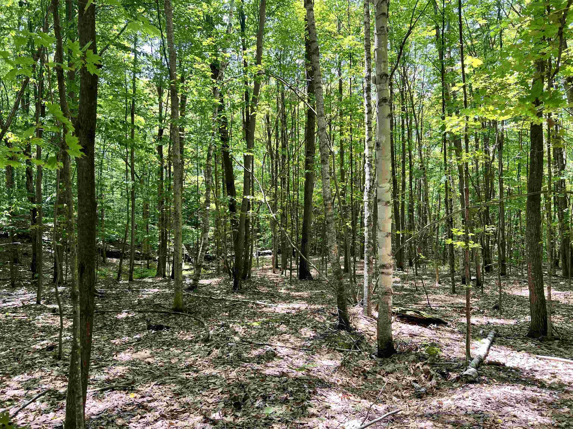 00 Greely Shunpike Road Hartford VT 05059