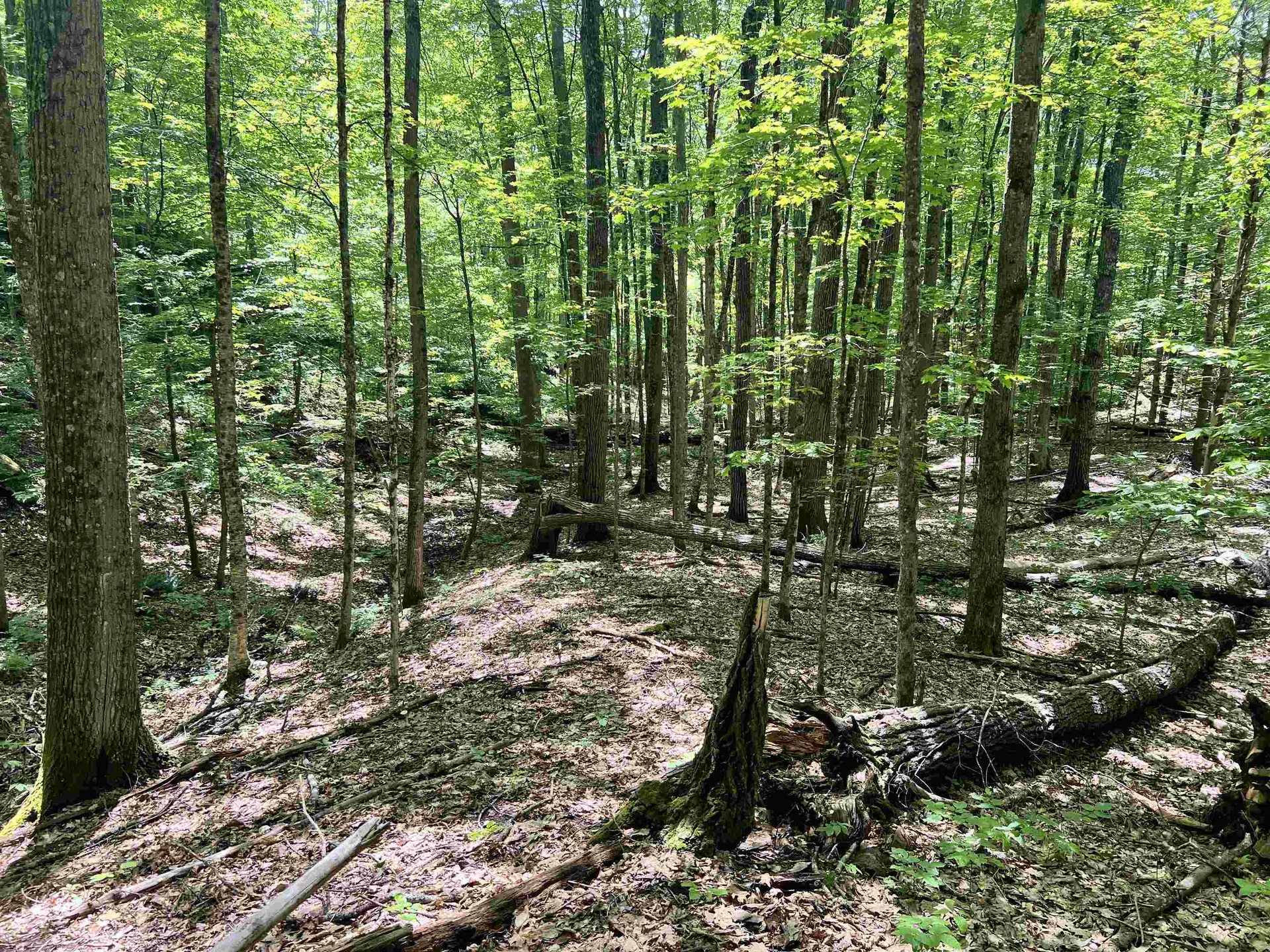 00 Greely Shunpike Road Hartford VT 05059