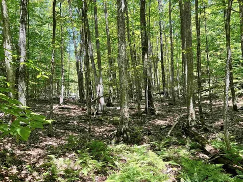 00 Greely Shunpike Road Hartford VT 05059