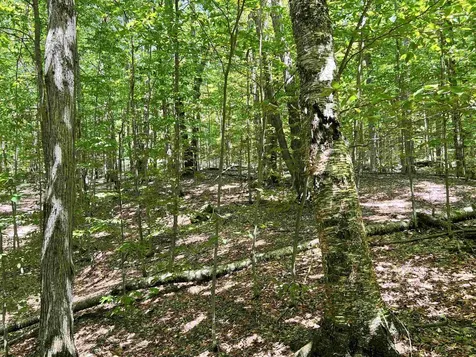 00 Greely Shunpike Road Hartford VT 05059