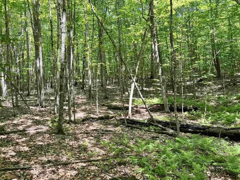 00 Greely Shunpike Road Hartford VT 05059