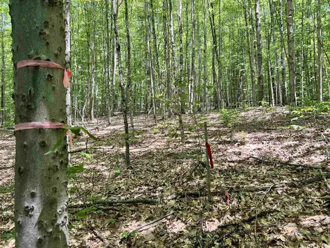 00 Greely Shunpike Road Hartford VT 05059